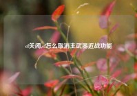 cf关闭,cf怎么取消主武器近战功能