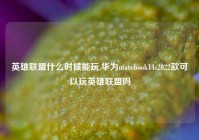 英雄联盟什么时候能玩,华为matebook14s2022款可以玩英雄联盟吗