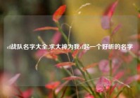 cf战队名字大全,求大神为我cf起一个好听的名字