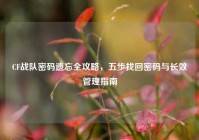 CF战队密码遗忘全攻略，五步找回密码与长效管理指南