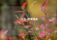 cf汉宫,cf年鹏真名