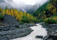 网络游戏科普:2025年最受欢迎的游戏排行榜分析