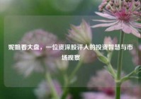 妮姐看大盘，一位资深股评人的投资智慧与市场观察