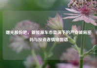 曙光股份吧，新能源车市震荡下的产业破局密码与投资者情绪图谱