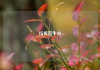 指挥官牛心