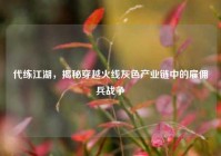 代练江湖，揭秘穿越火线灰色产业链中的雇佣兵战争