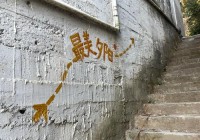 泷泽萝拉下海背后的原因，她是如何走上这条路的？