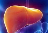 DNF掌游宝小伙伴传授 速成爆肝小号秘籍