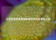 从龙虾皮肤看英雄联盟的亚文化重构之路
