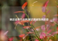 财达证券万点网,财达融资如何还息