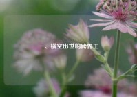 一、横空出世的跨界王