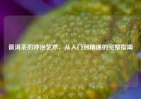 普洱茶的冲泡艺术，从入门到精通的完整指南