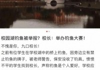 参加jjg钓鱼大赛需要注意什么？新手必看的规则解读。
