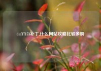 dnf17173补丁,什么网站攻略比较多啊