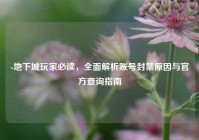 -地下城玩家必读，全面解析账号封禁原因与官方查询指南