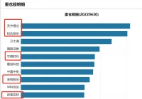 华商主题基金,华商盛世基金如何