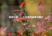 暗夜行者，一个义贼的侠骨与孤灯