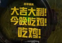 点亮全国！《和平精英》又一次让「吃鸡」成了爆款流行词