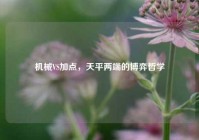 机械VS加点，天平两端的博弈哲学