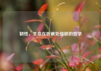 韧性，生命在折痕处绽放的哲学