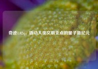 奇迹1.02q，撬动人类文明支点的量子新纪元