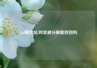 dnf模型站,时装被分解能找回吗