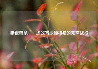 暗夜猎杀，一场改写地缘格局的无声战役