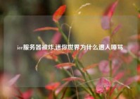 ice服务器被炸,迷你世界为什么遭人唾骂