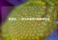 悦读纪，一场与灵魂同行的精神迁徙