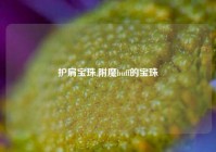 护肩宝珠,附魔buff的宝珠
