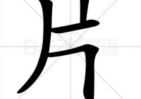 片字的多重含义及应用解析