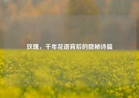 玫瑰，千年花语背后的隐秘诗篇
