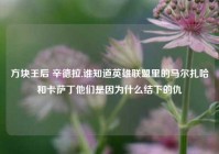 方块王后 辛德拉,谁知道英雄联盟里的马尔扎哈和卡萨丁他们是因为什么结下的仇