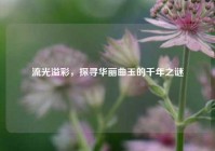 流光溢彩，探寻华丽曲玉的千年之谜