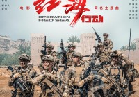红海行动背后的真实故事：蛟龙突击队的英雄壮举