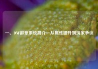 一、DNF徽章系统简介—从属性提升到玩家争议