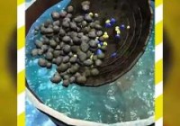 淘金狂热小游戏