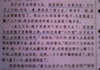 错一道题就被学长插一根笔？这篇作文火了！