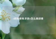 cf战绩查询,手游cf怎么查战绩