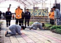 《偷天陷阱》｜帅男愿意、女神惬意的深情寓意