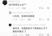 迷路的小灰灰到底是什么？是游戏还是歌曲？