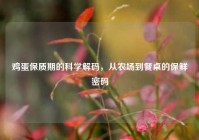 鸡蛋保质期的科学解码，从农场到餐桌的保鲜密码