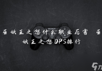 巫妖王之怒什么职业厉害 巫妖王之怒DPS排行