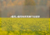 cf盘龙,cf盘龙和烈龙哪个比较好
