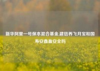 新华阿里一号保本混合基金,建信养飞月宝和国寿安鑫盈安全吗