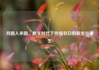 月圆人未圆，数字时代下传统节日的裂变与重生