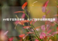 DNF鞋子宝珠全解析，从入门到毕业的附魔指南