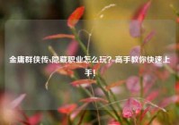 金庸群侠传x隐藏职业怎么玩？高手教你快速上手！