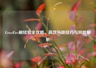 CrossFire刷经验全攻略，高效升级技巧与风险解析