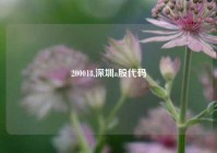 200018,深圳a股代码